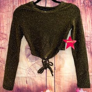 Beautiful Brown Shiny Gold Haute Monde Party Crop Top